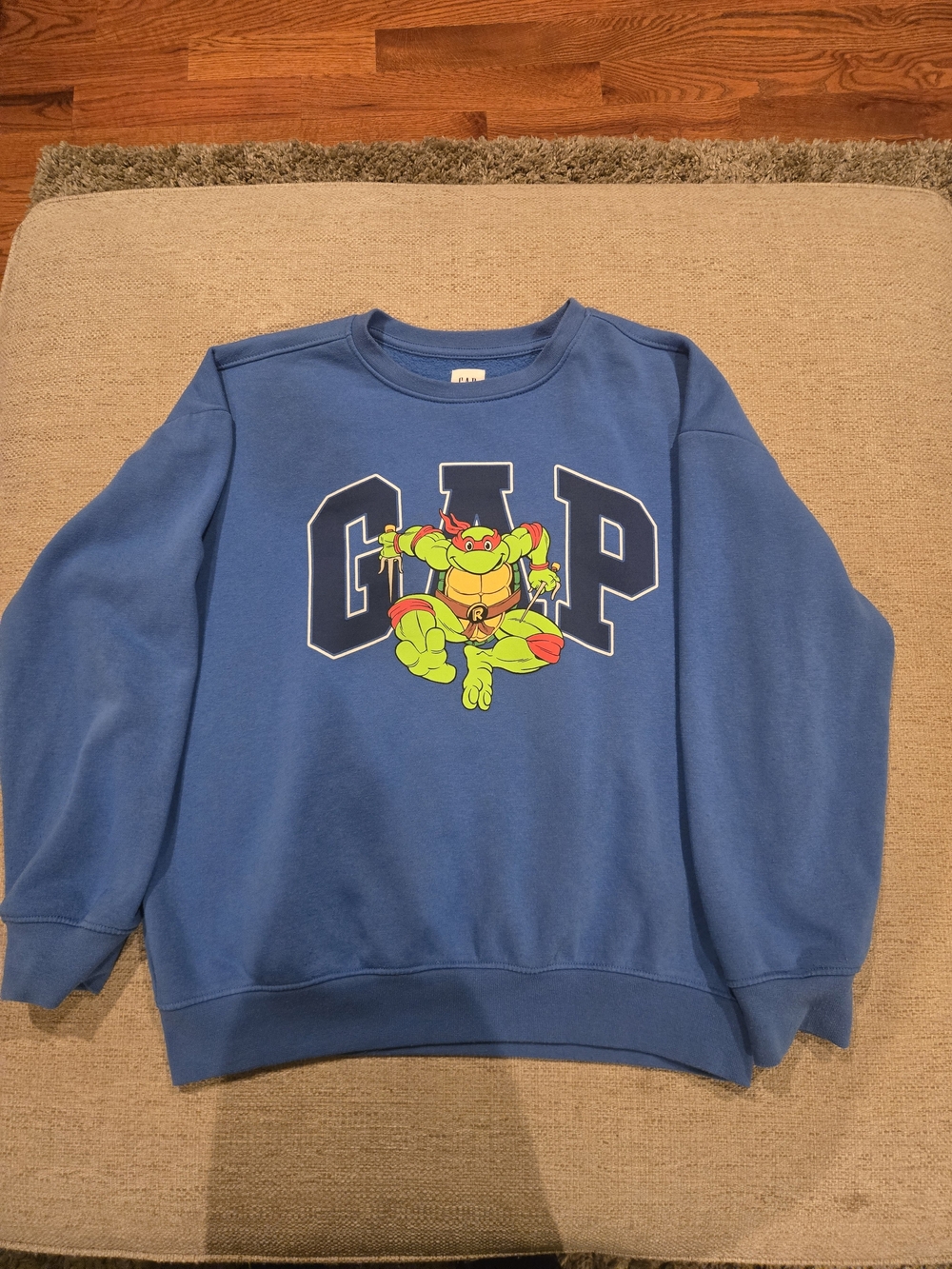 Big Boys Teenage Mutant Ninja Turtle Gsp Blue Sweatshirt